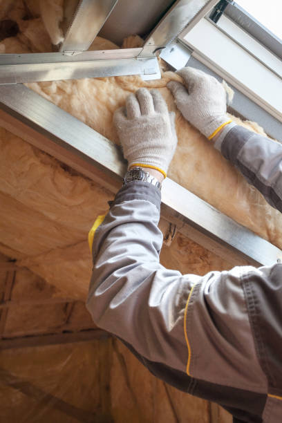 Best Attic Insulation Installation  in Cameron Park, TX